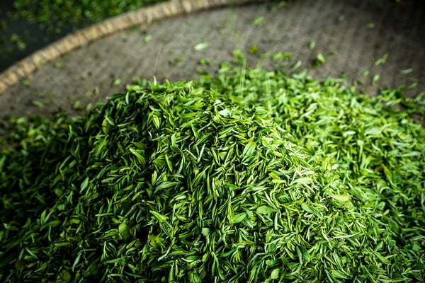 The Best Fat Burning Foods