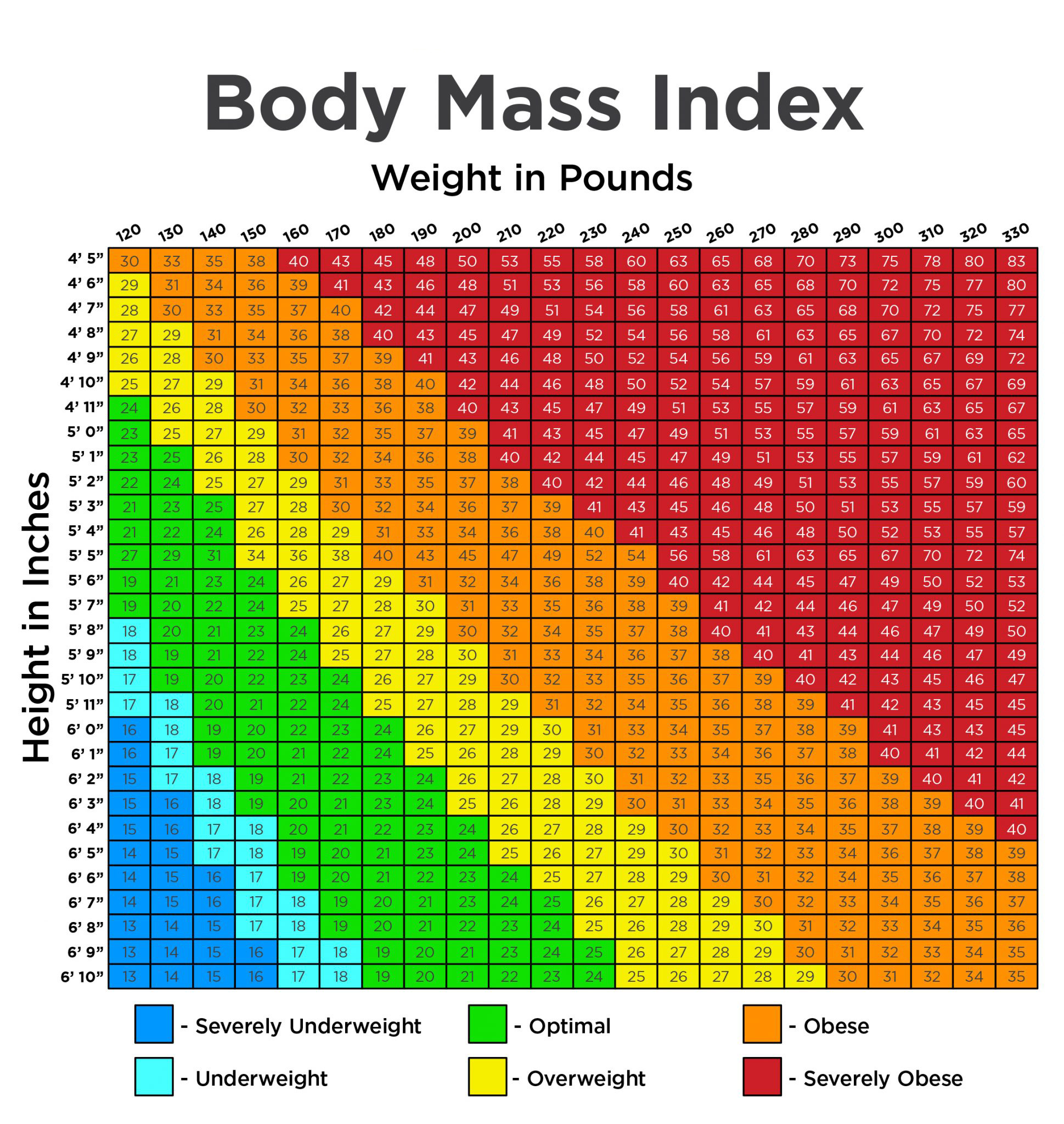 Body Mass Index (BMI) What Is It and Why Is It Important? Lindora Clinic