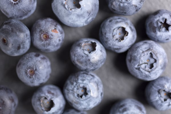 Chilled Blueberry Delight